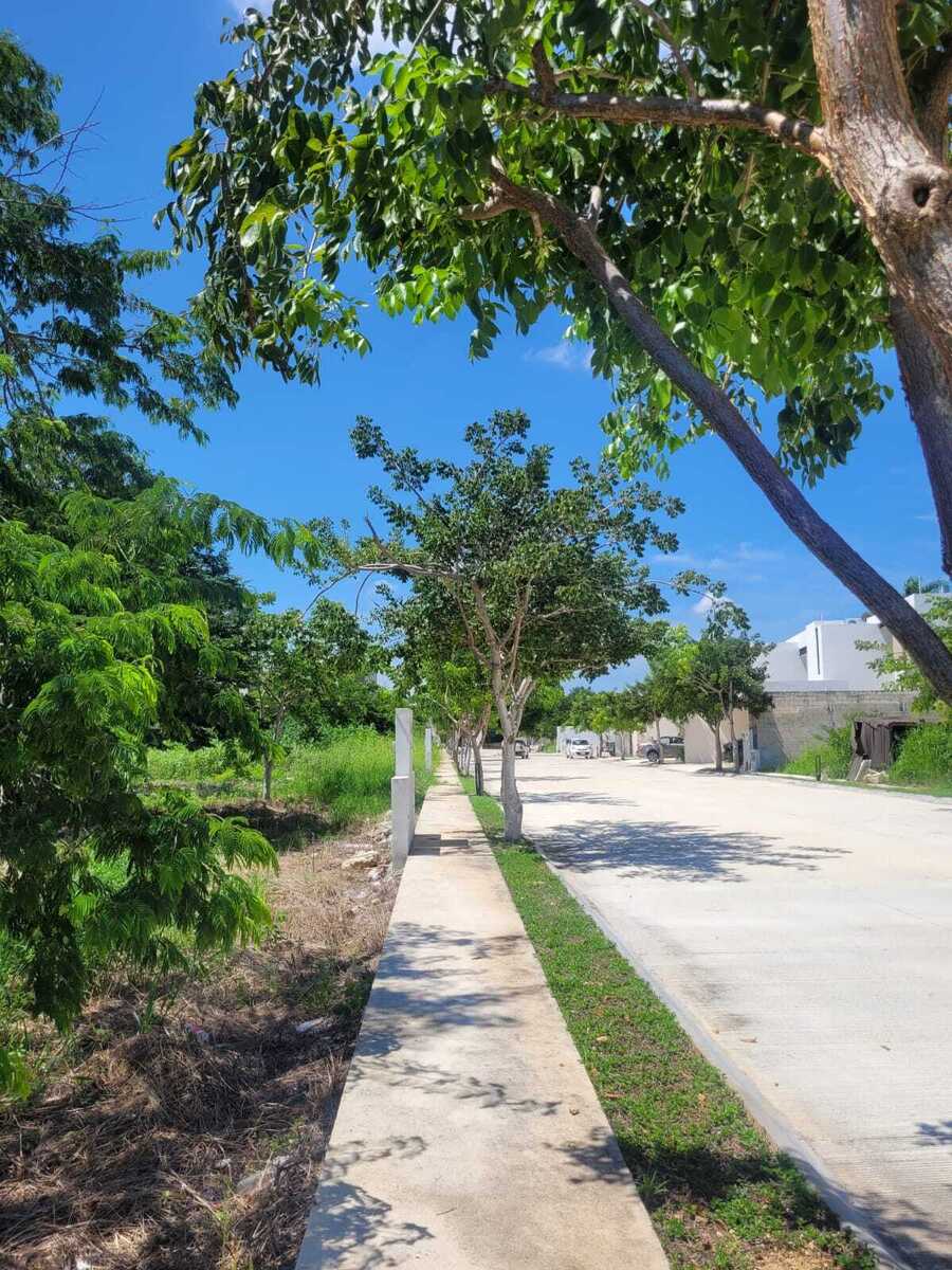1 de 10