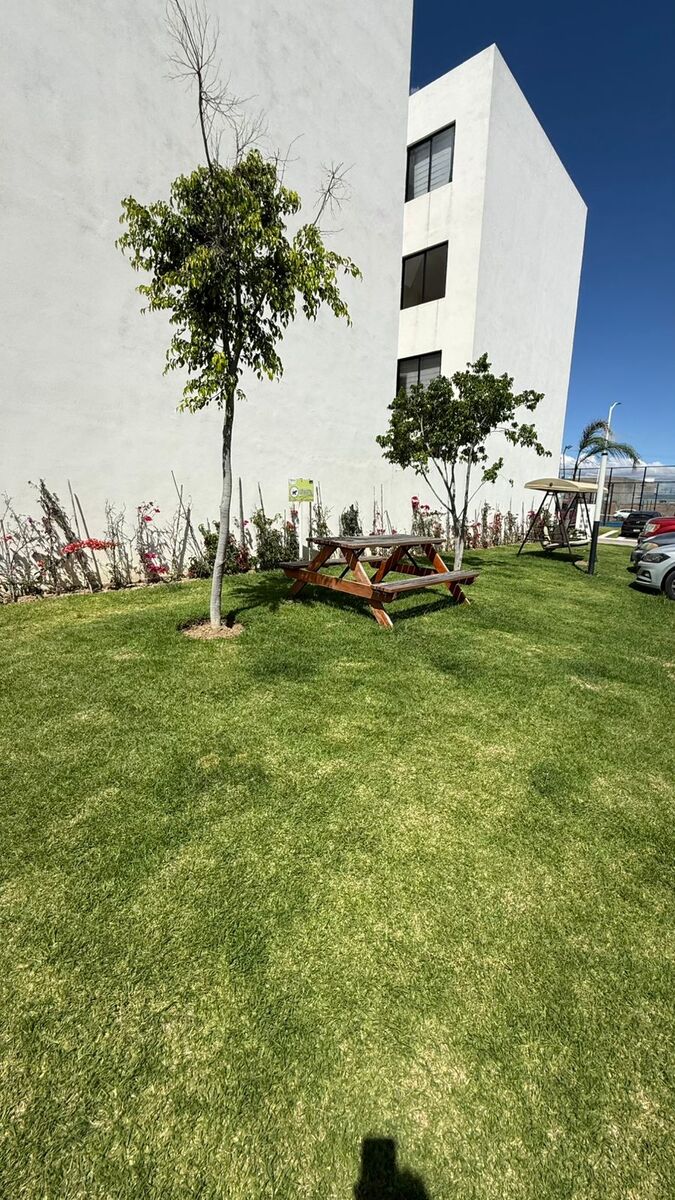 6 de 22