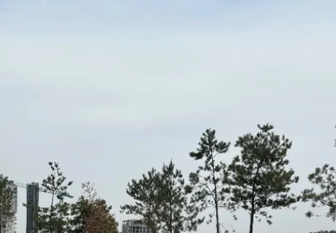 2 de 8