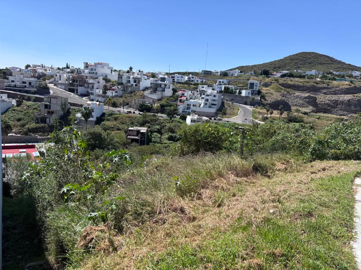 3 de 7
