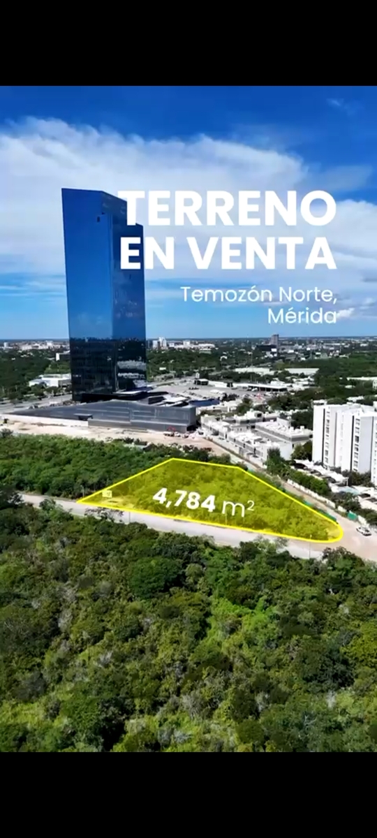 1 de 4