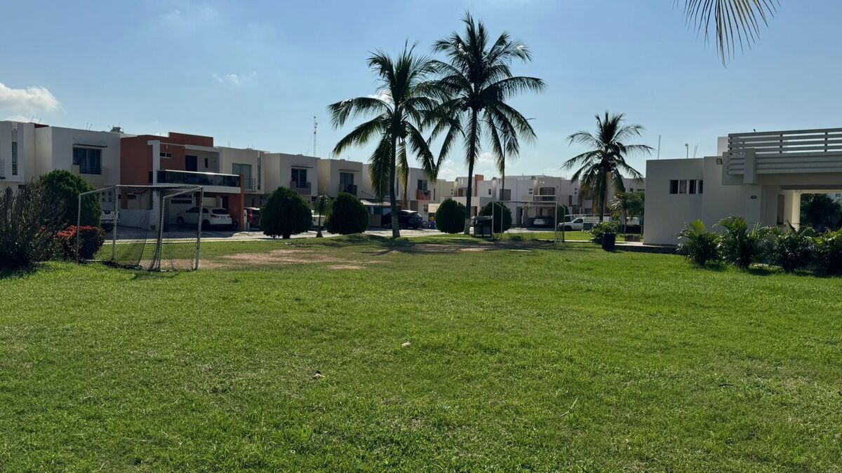11 de 33