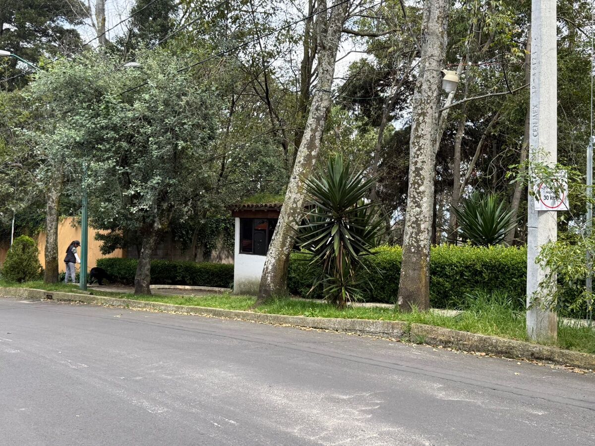 3 de 3