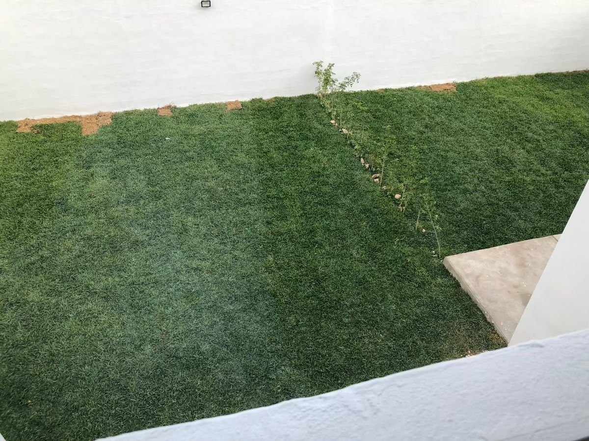16 de 18
