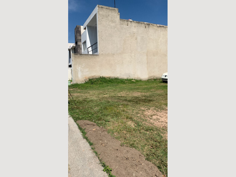 5 de 18