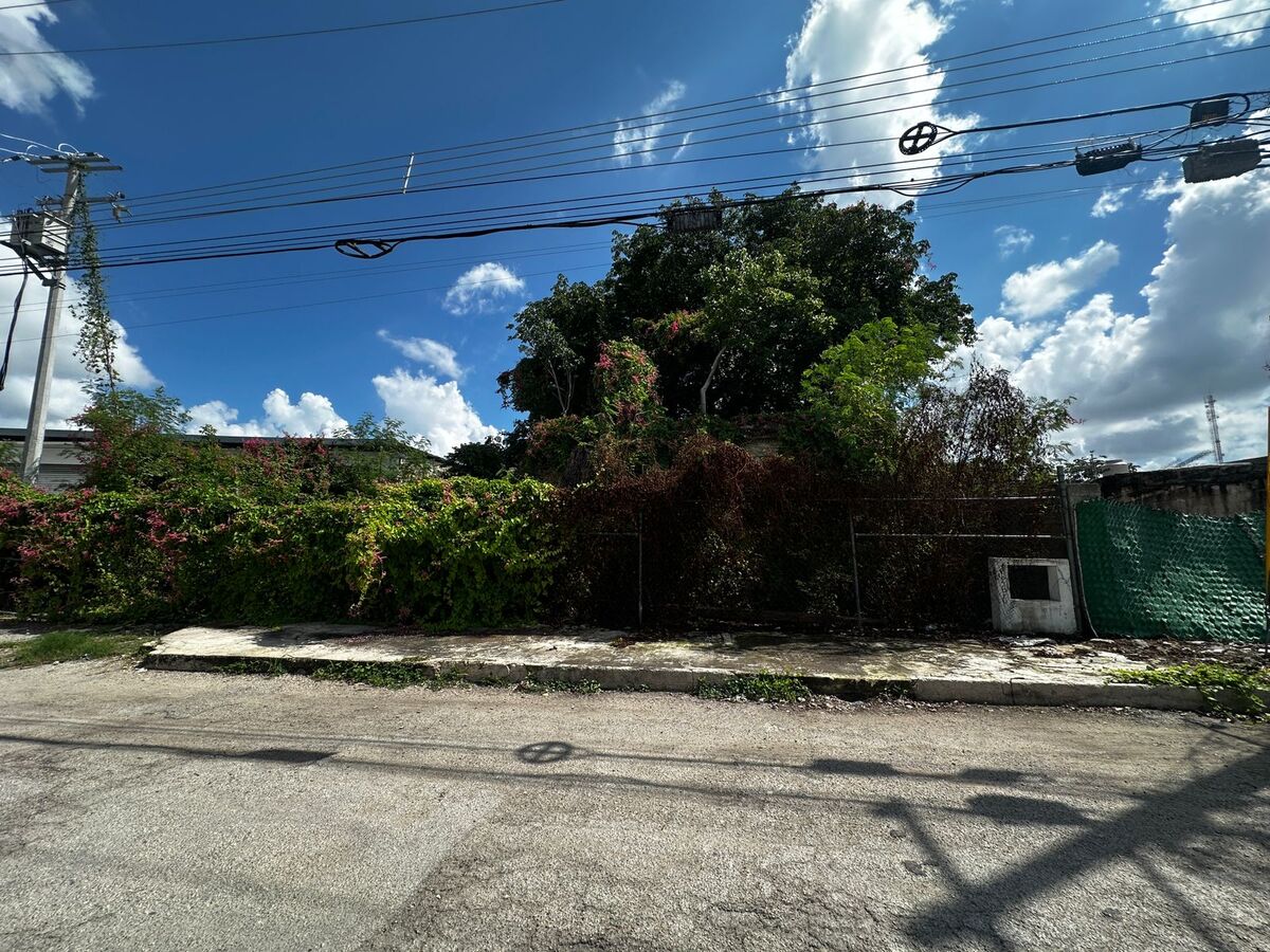 2 de 3