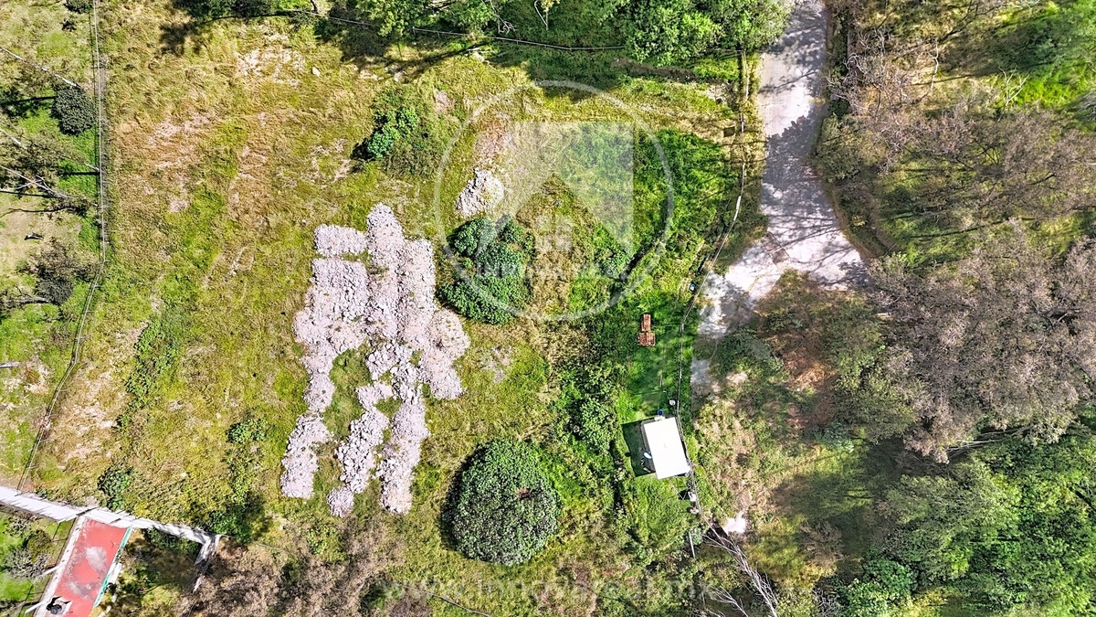 19 de 20