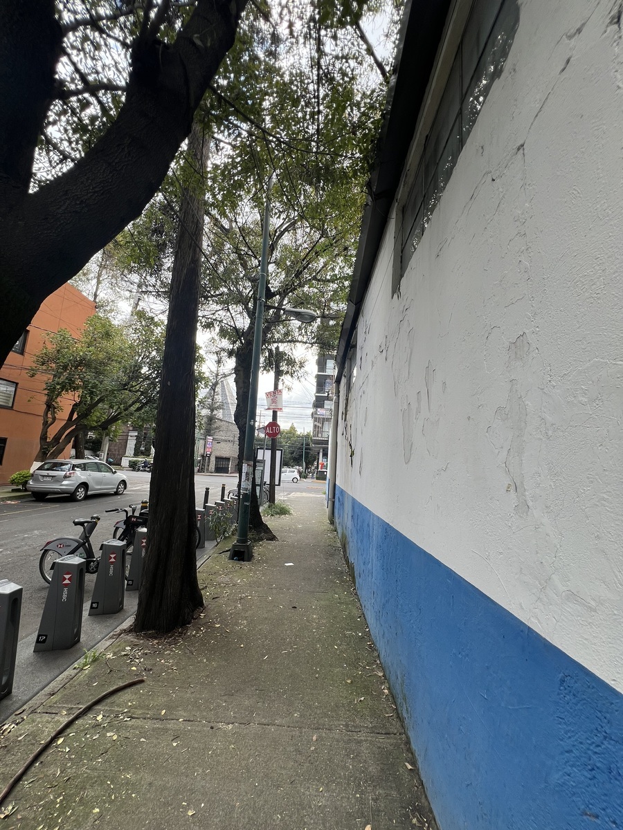6 de 7