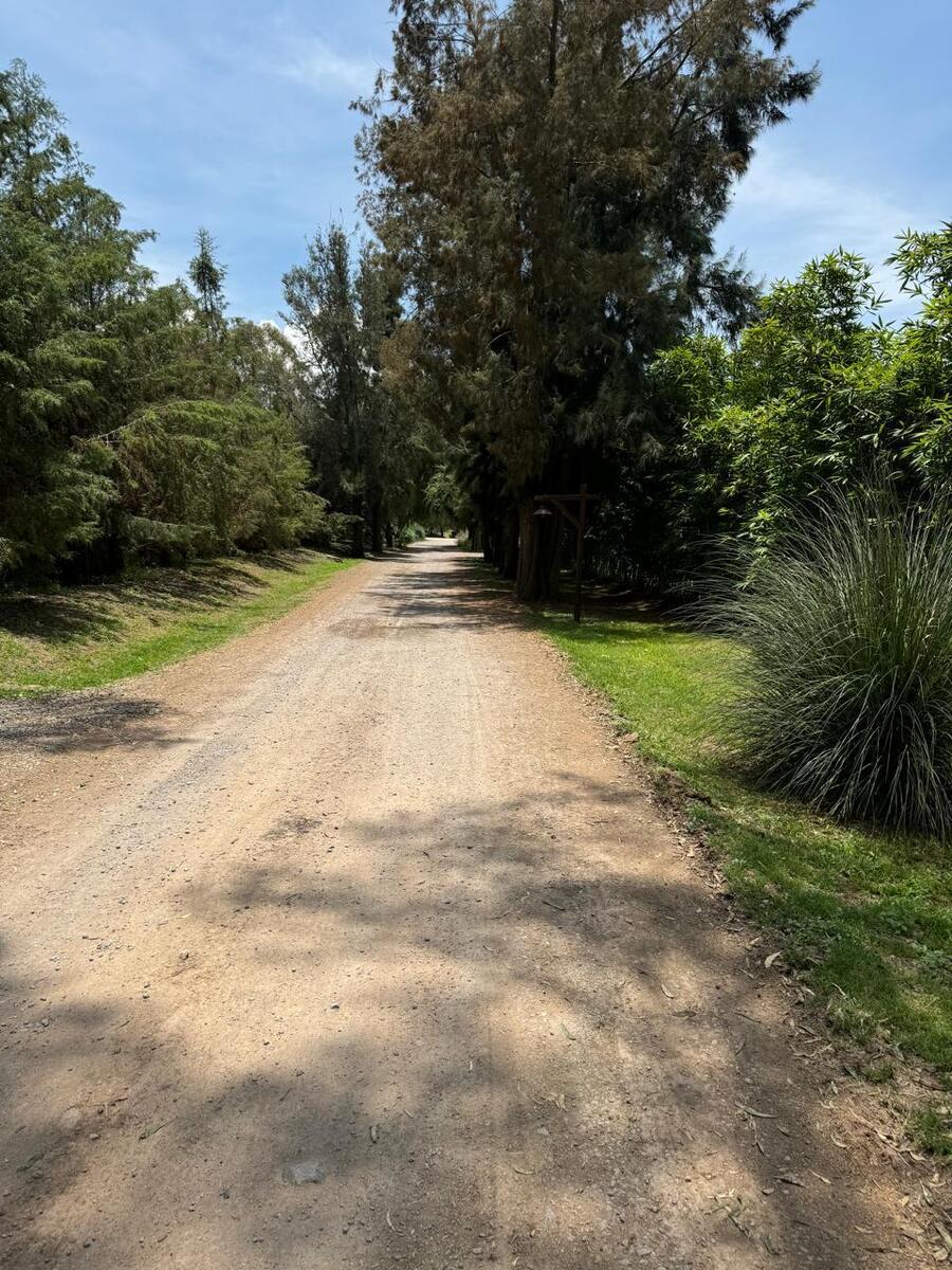 3 de 20
