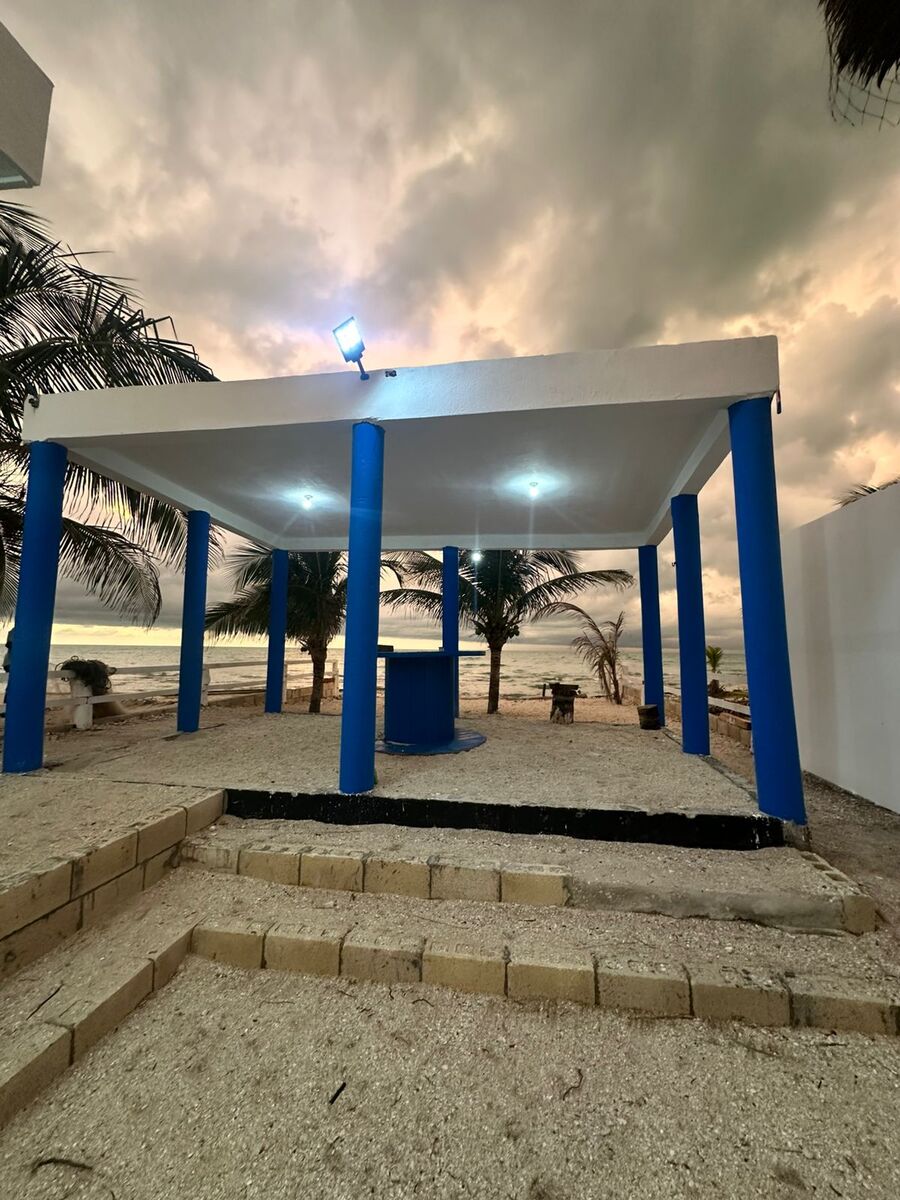 24 de 29