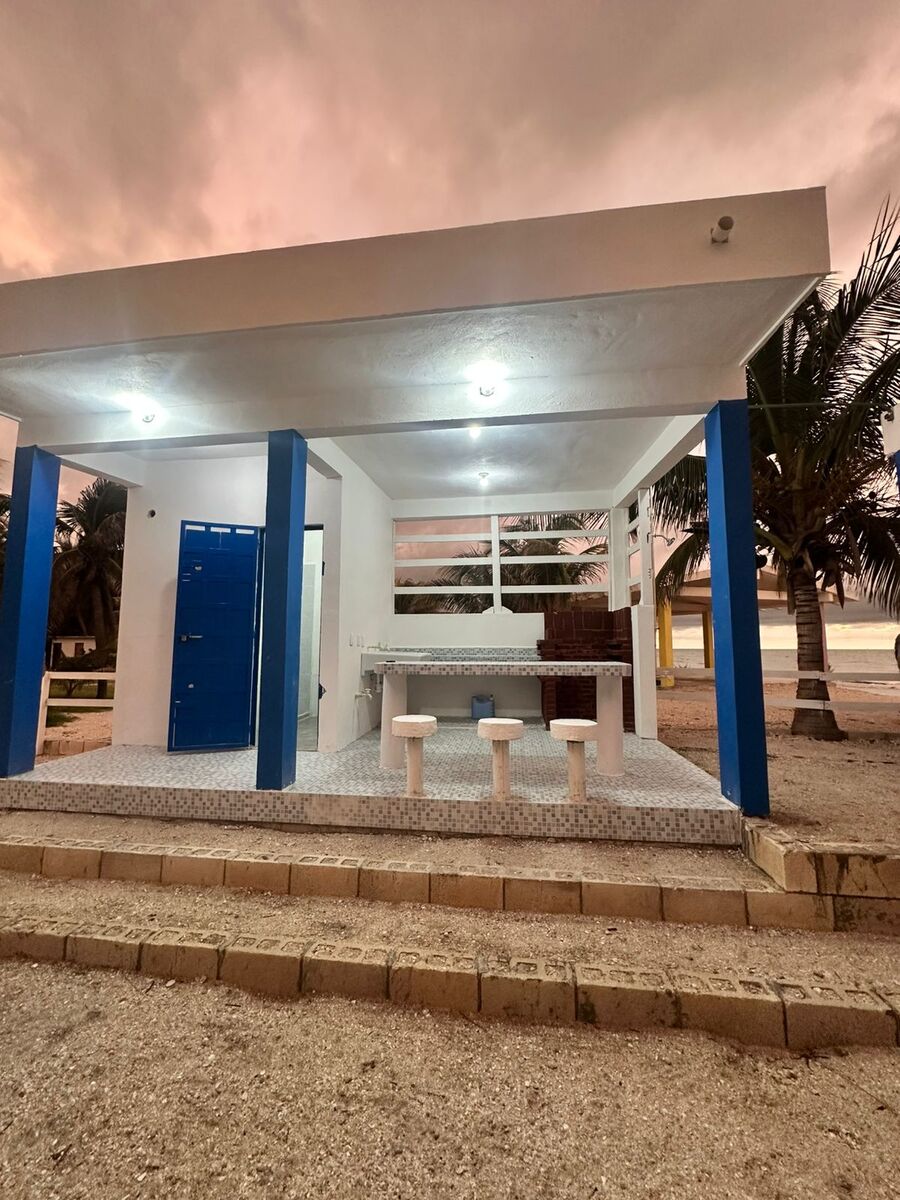 25 de 29