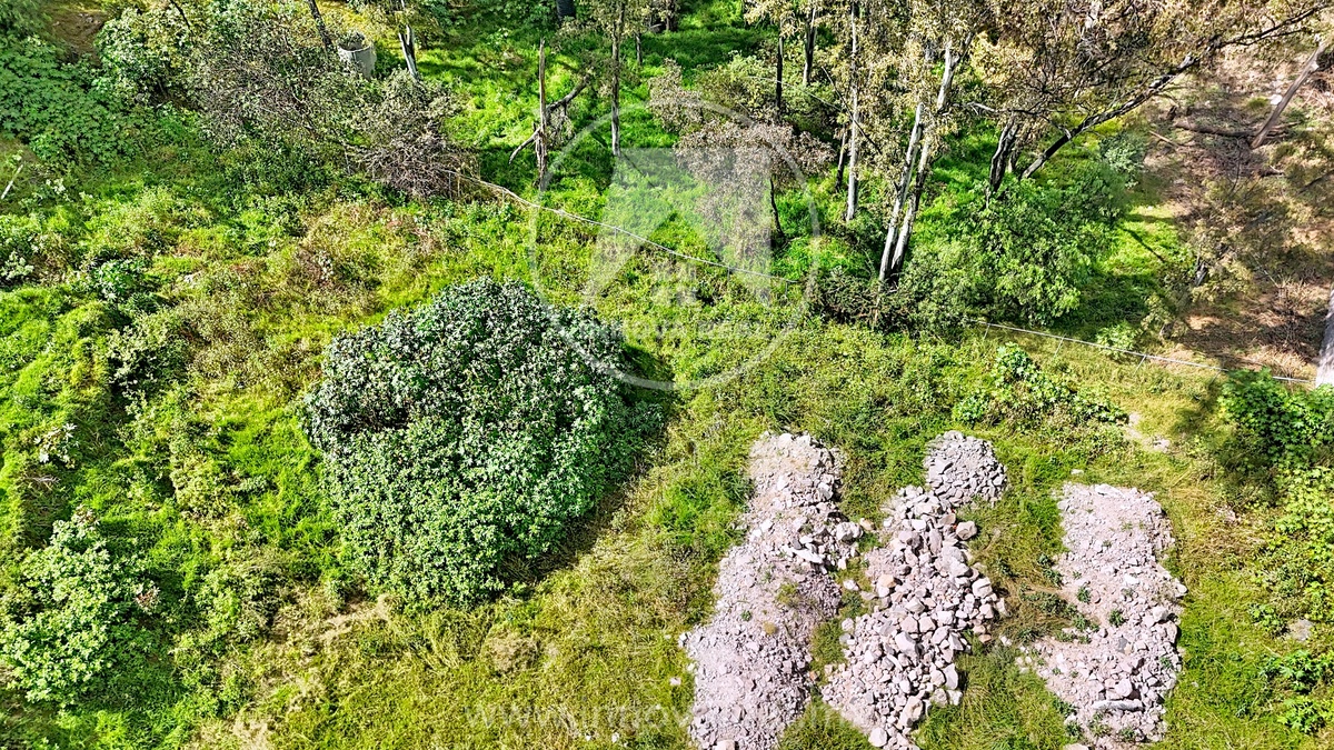 9 de 20