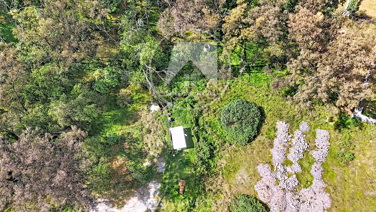 11 de 20