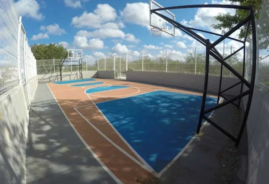 5 de 7