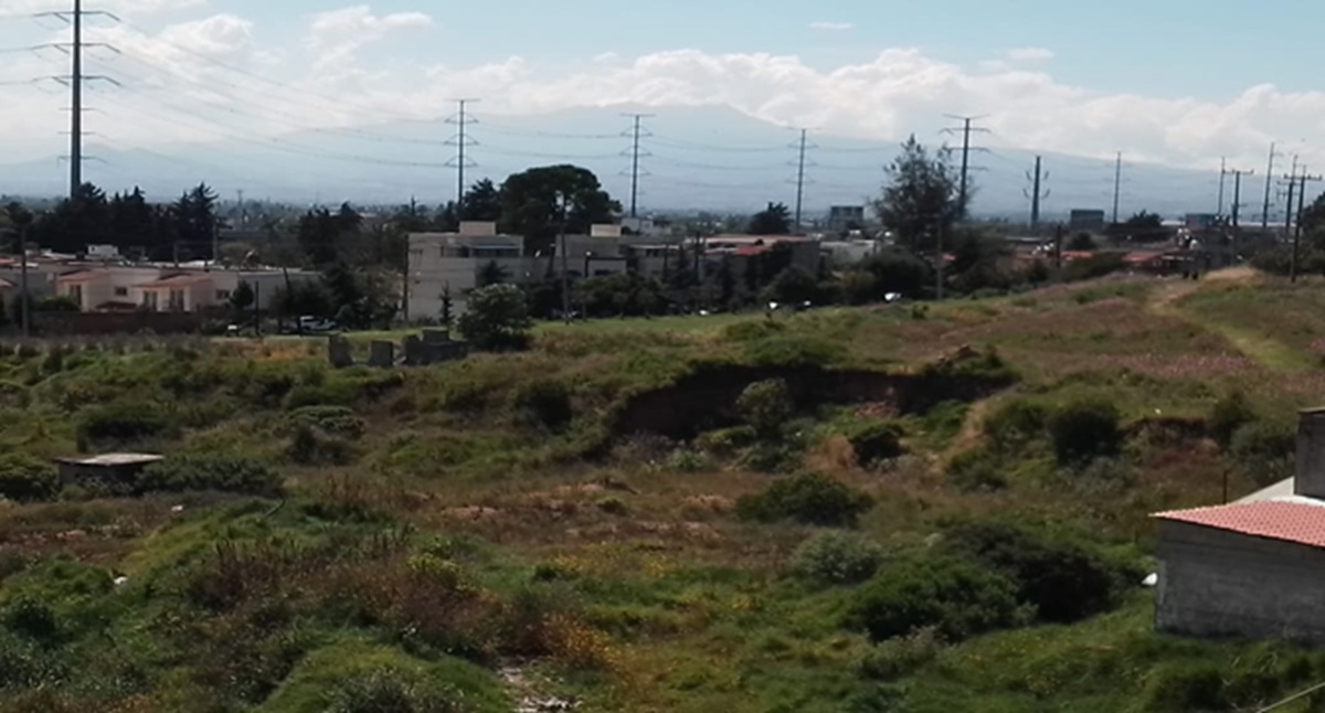 3 de 12