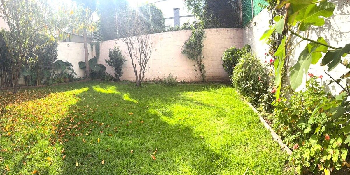 26 de 29