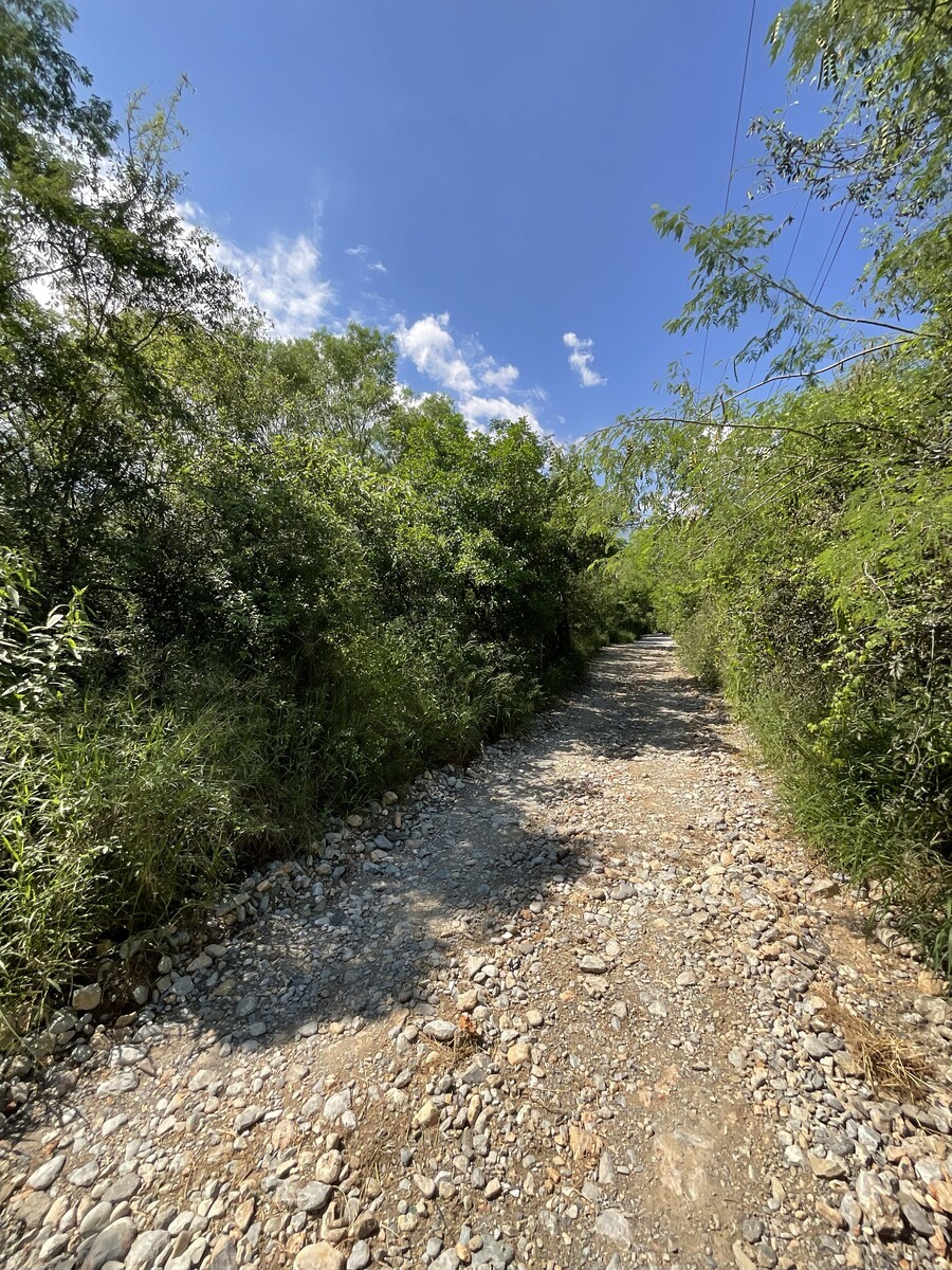 4 of 8