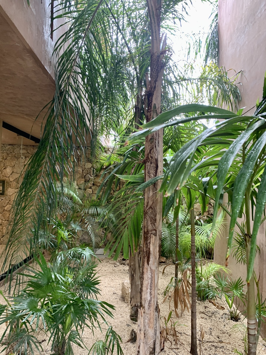 29 de 35