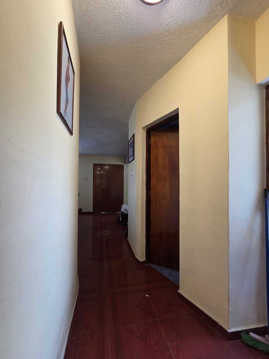 5 de 19