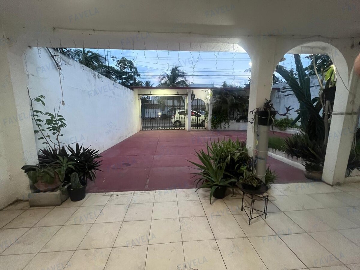 6 de 31
