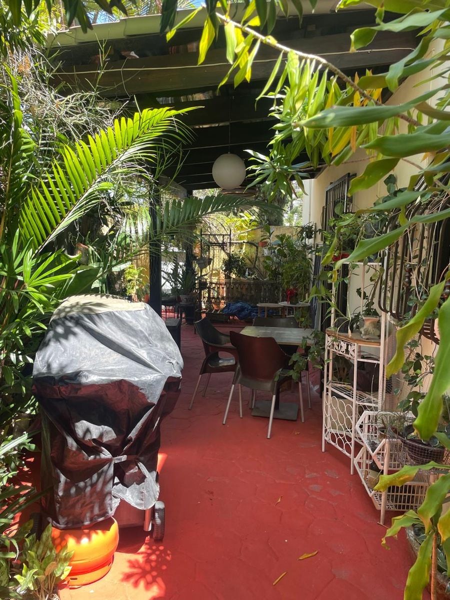 Terraza, foto 18 de 18