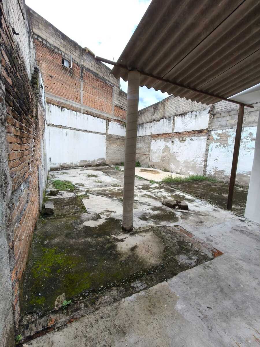 11 de 12