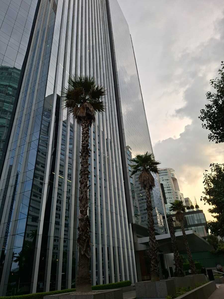 1 de 15