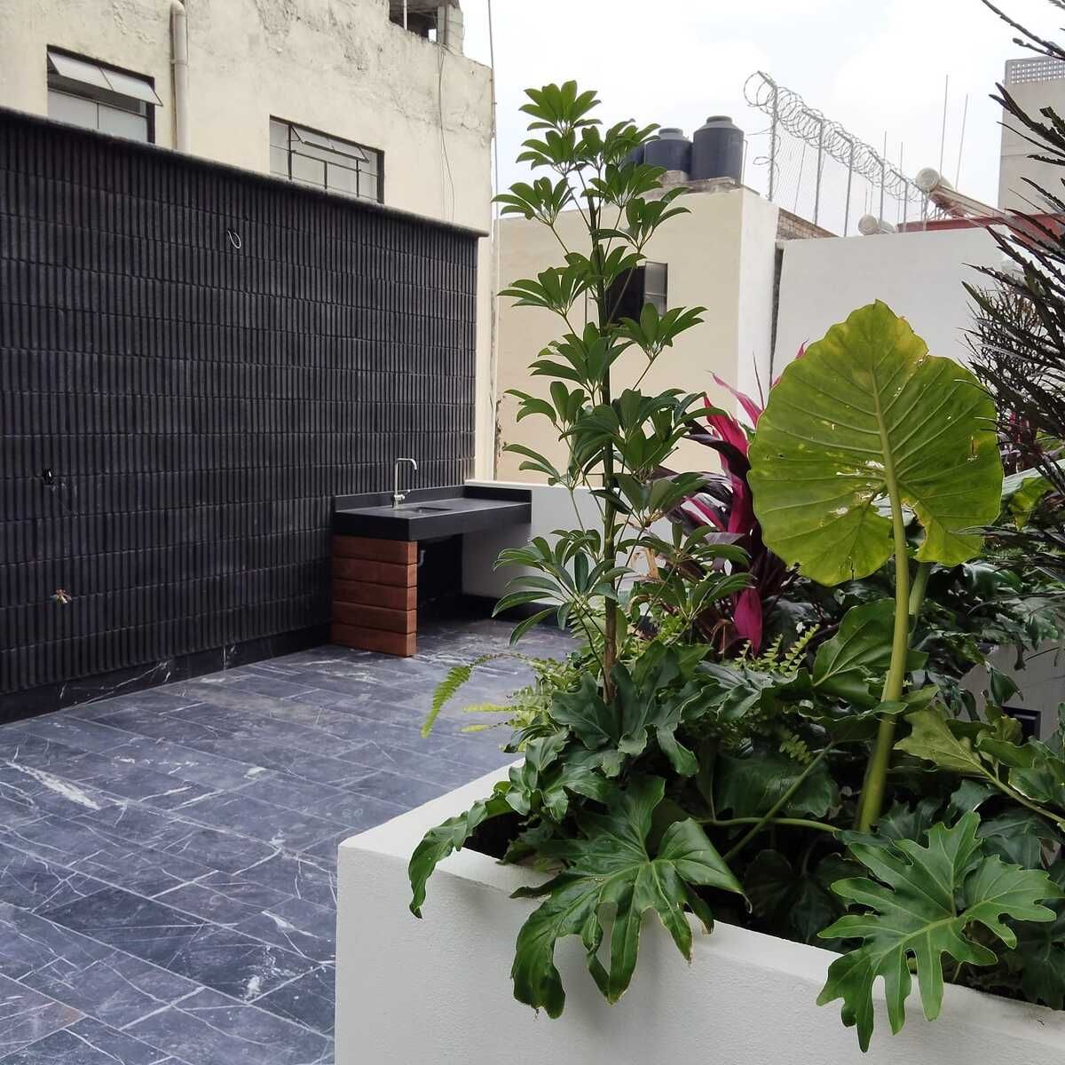 28 of 33: Terraza Común