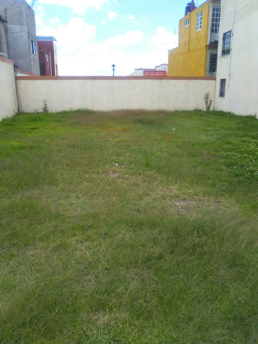 17 de 20