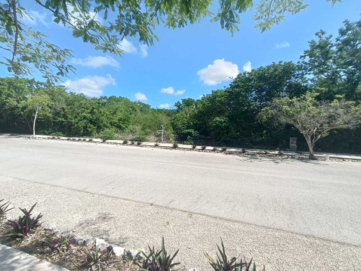 Terreno en San Ignacio, Progreso, foto 9 de 17