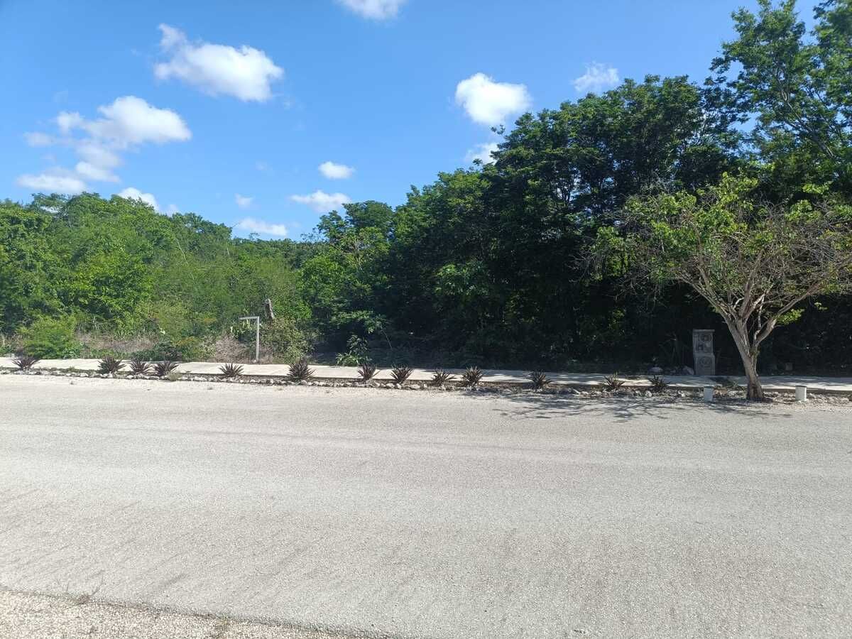 Terreno en San Ignacio, Progreso, foto 7 de 17