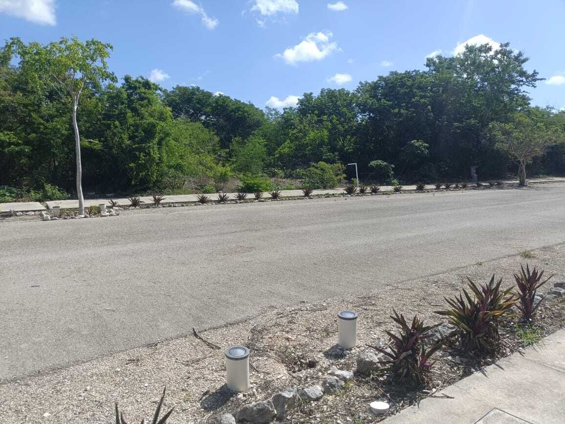 Terreno en San Ignacio, Progreso, foto 3 de 17