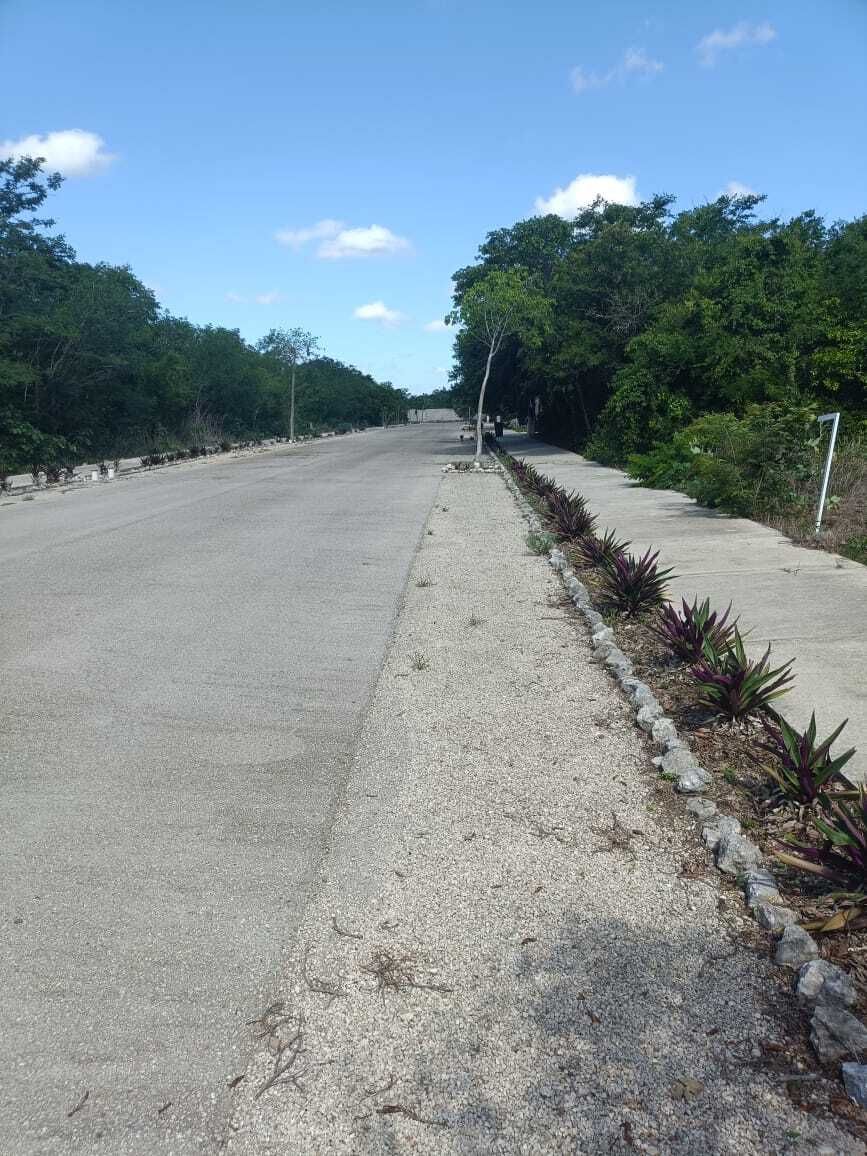 Terreno en San Ignacio, Progreso, foto 6 de 17