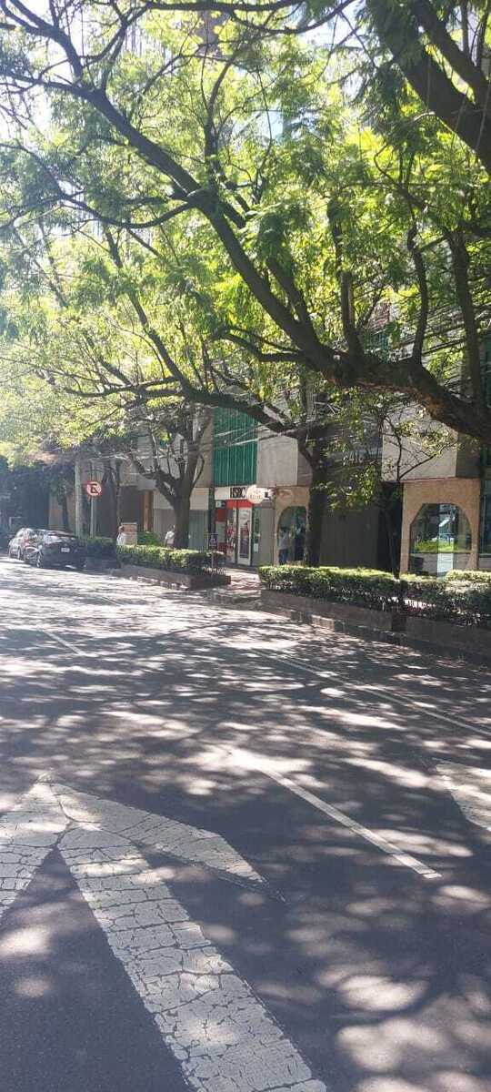 10 de 48