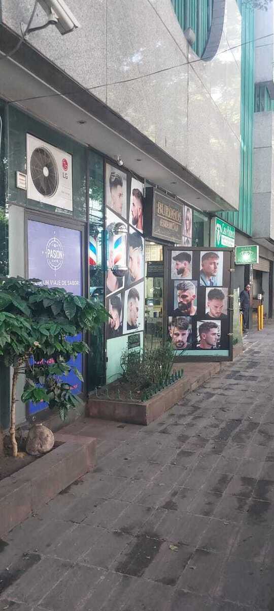 7 de 48