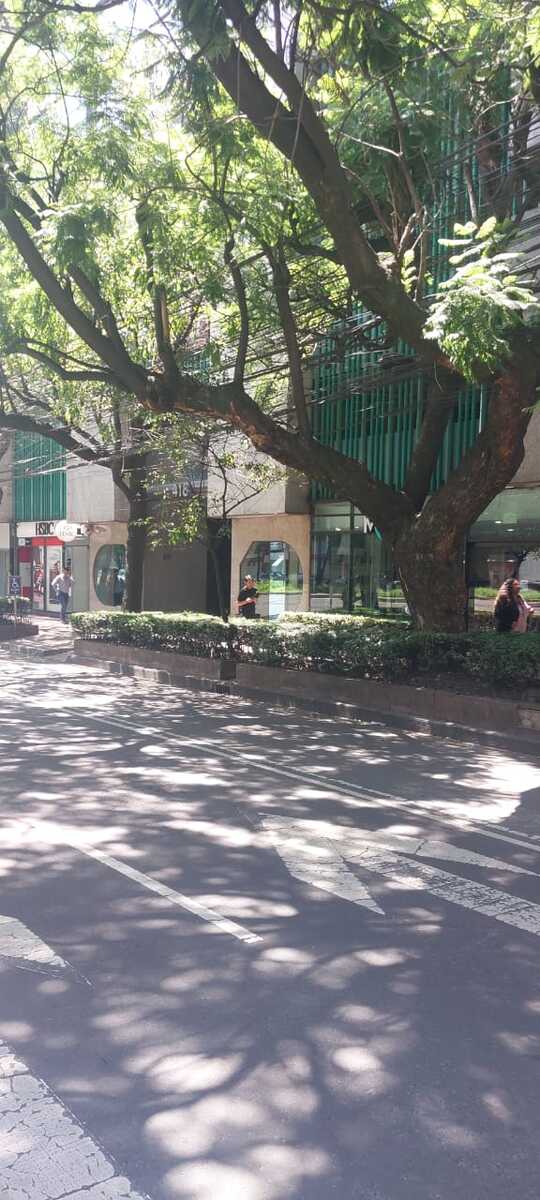 28 de 48