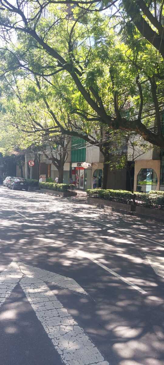 29 de 48