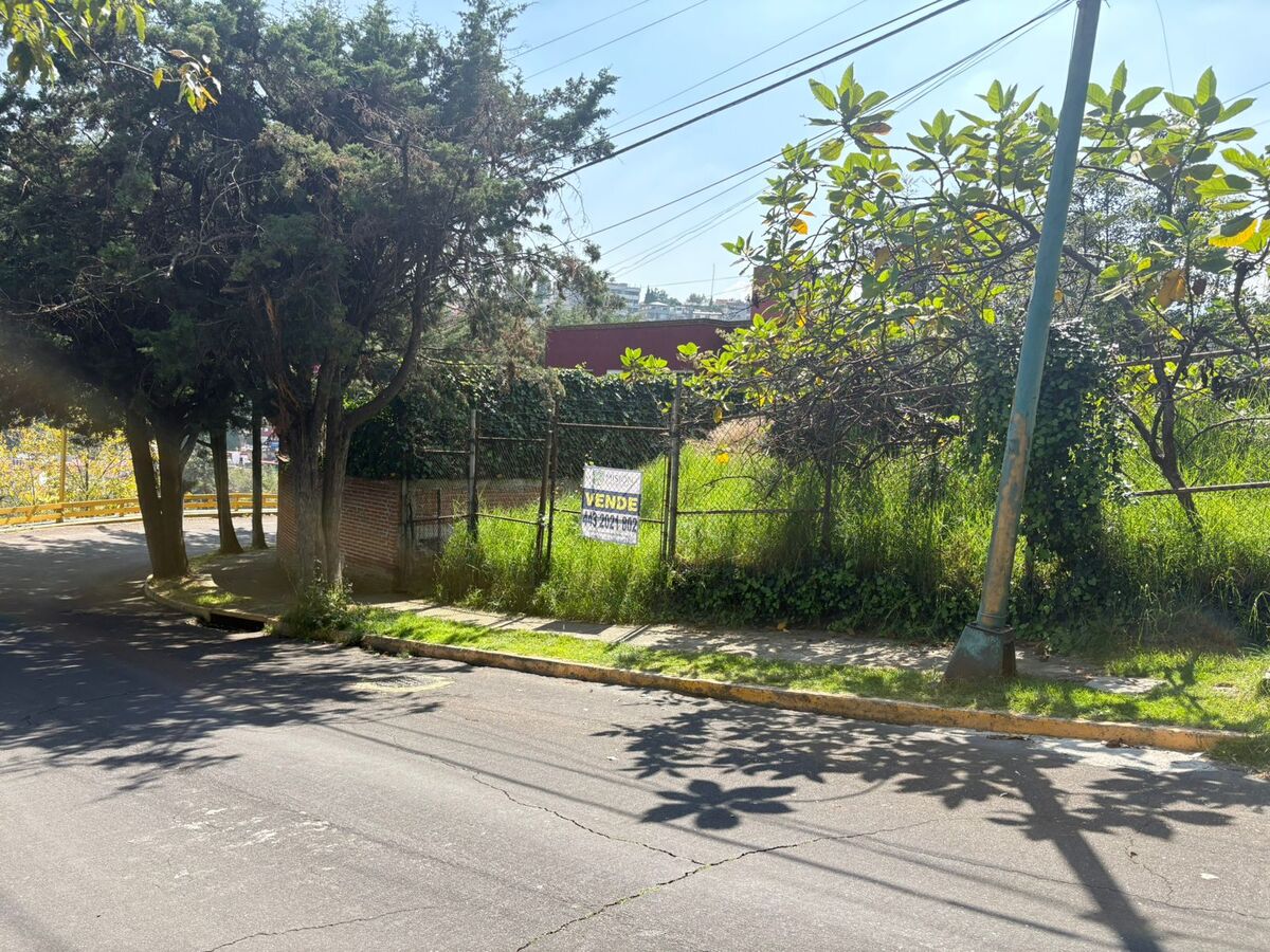 3 de 8