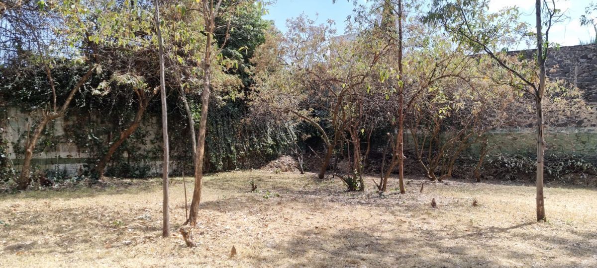 3 of 6: Terreno en Venta Jardines del Pedregal Rayo Vende ®