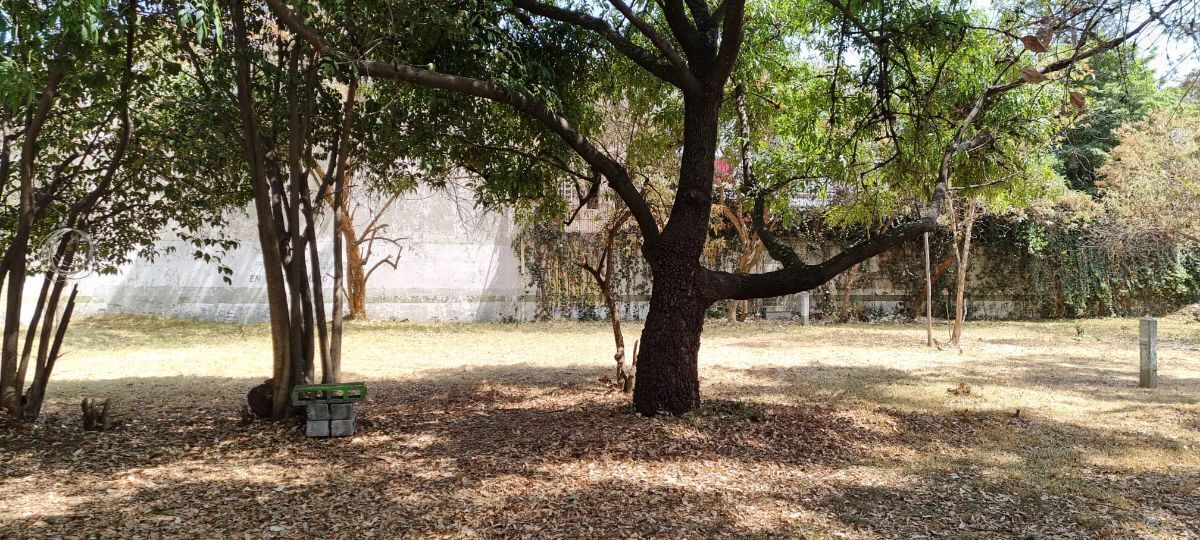4 of 6: Terreno en Venta Jardines del Pedregal Rayo Vende ®