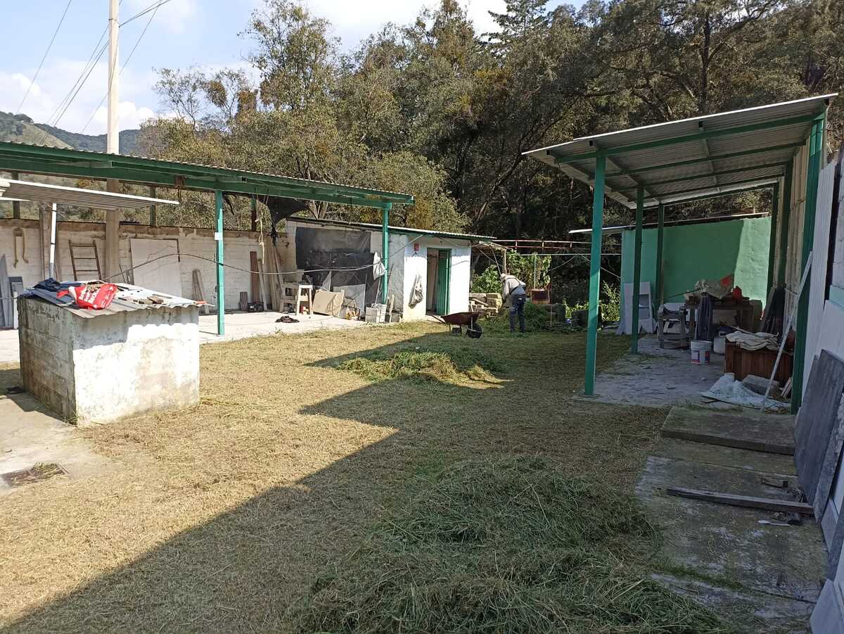 4 de 5