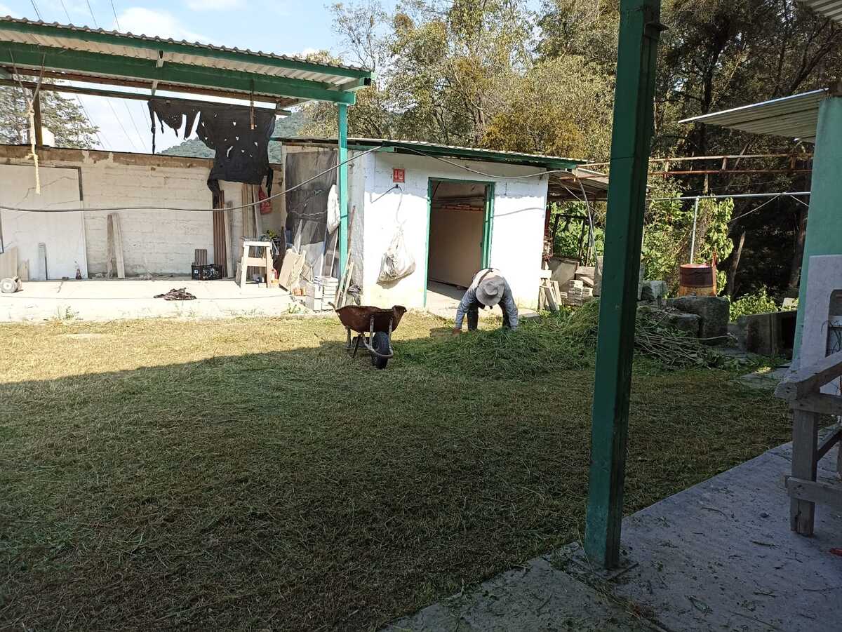 5 de 5