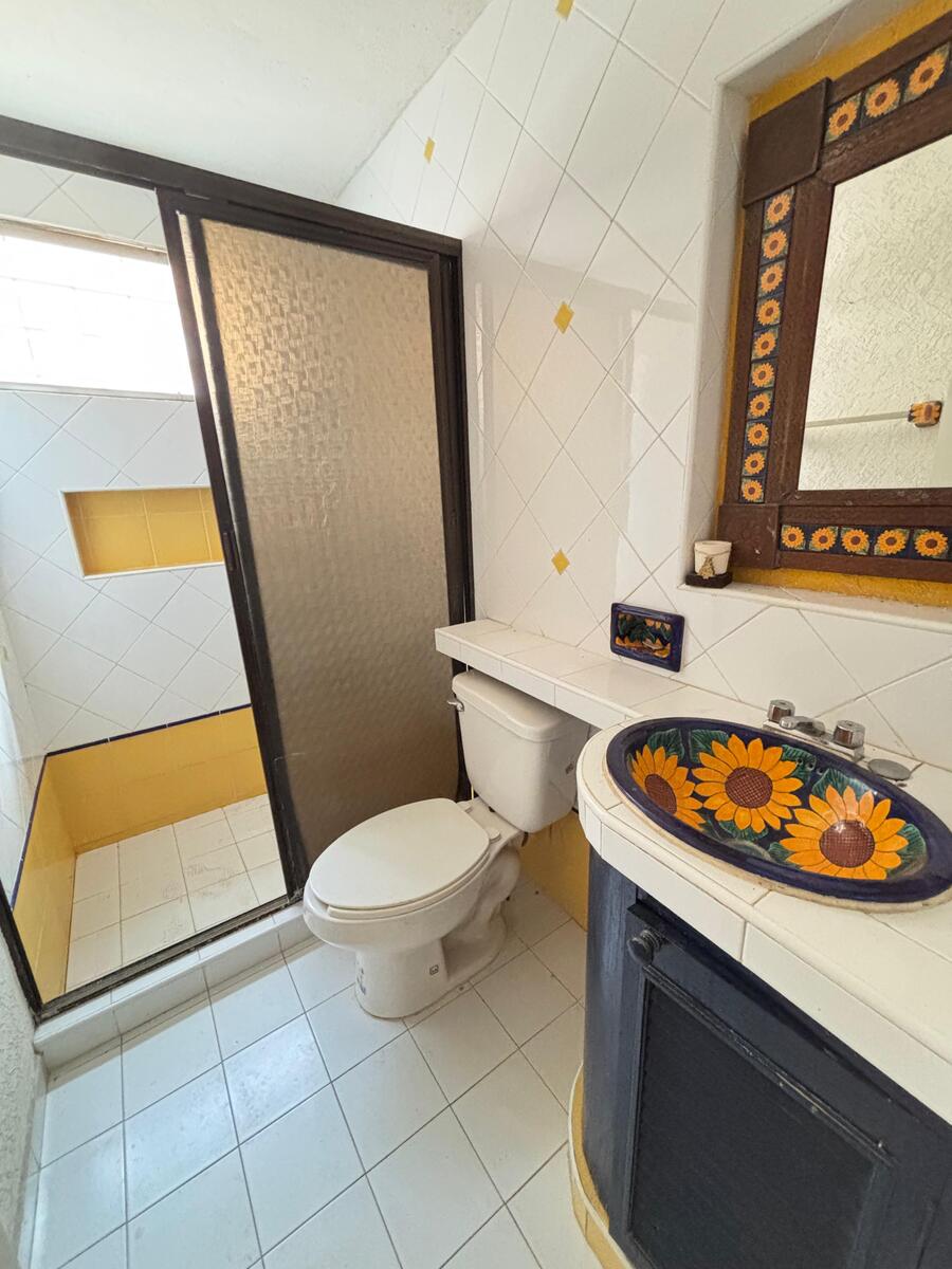 19 de 29: baño planta baja