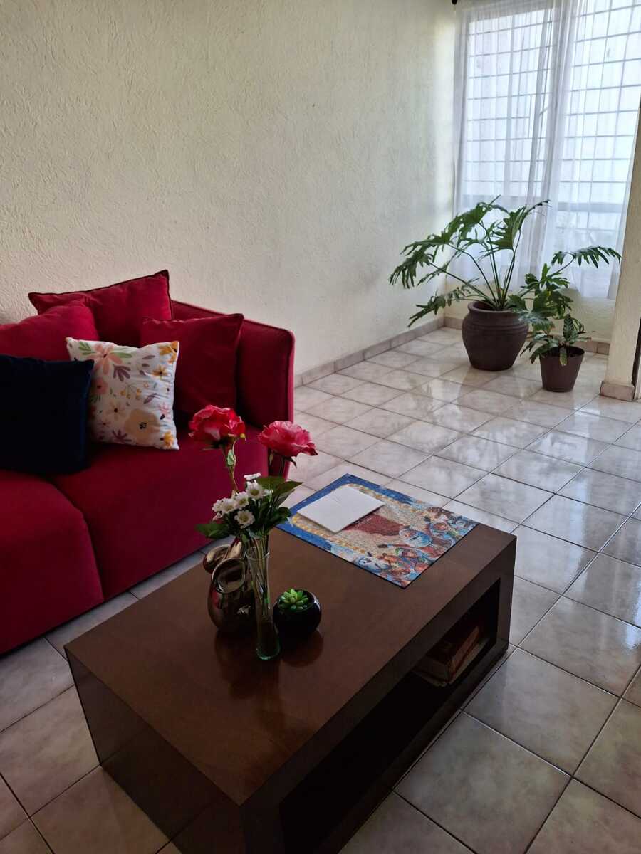 5 de 12