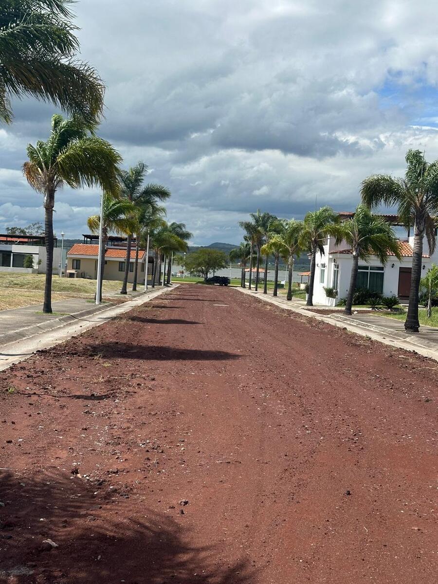 7 de 19
