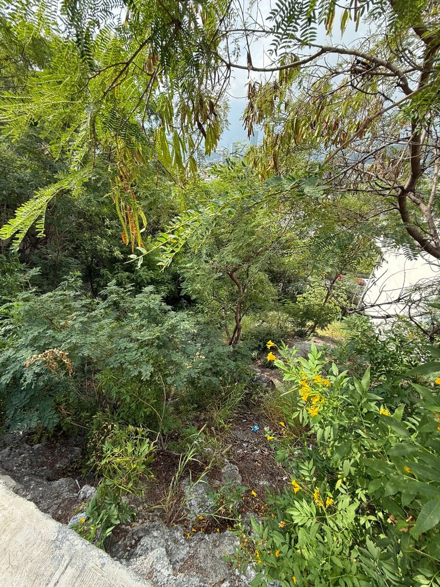5 of 6