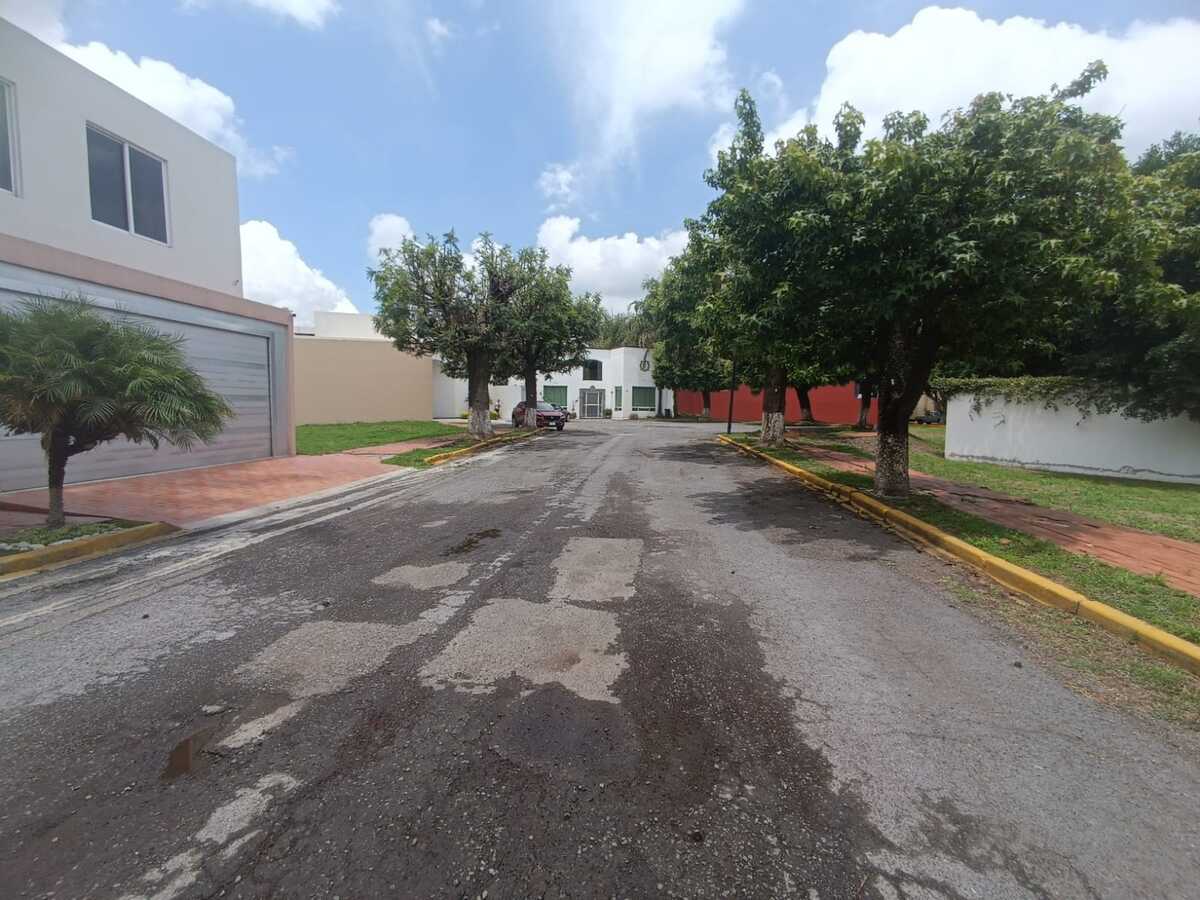 3 de 6
