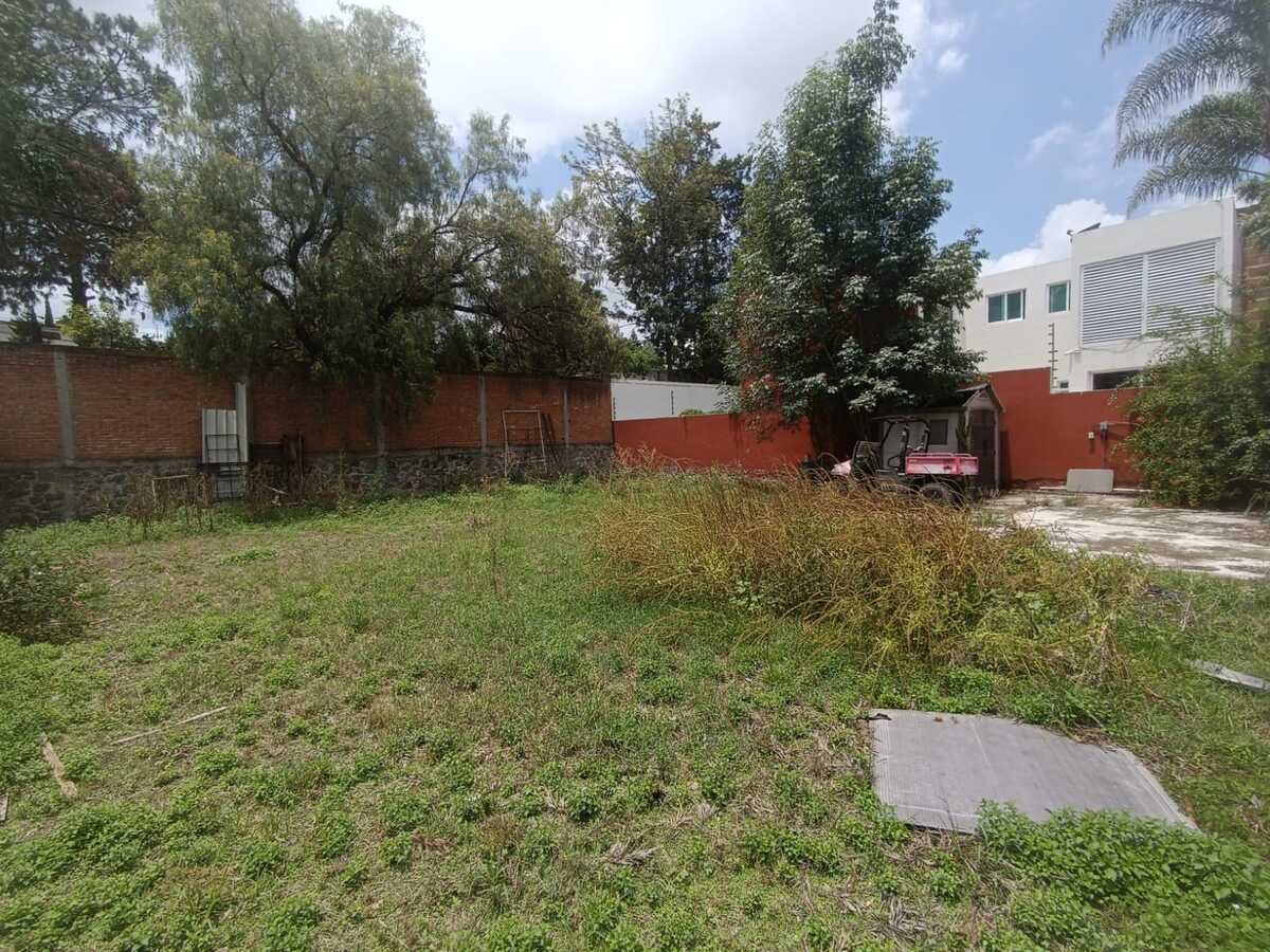 4 de 6