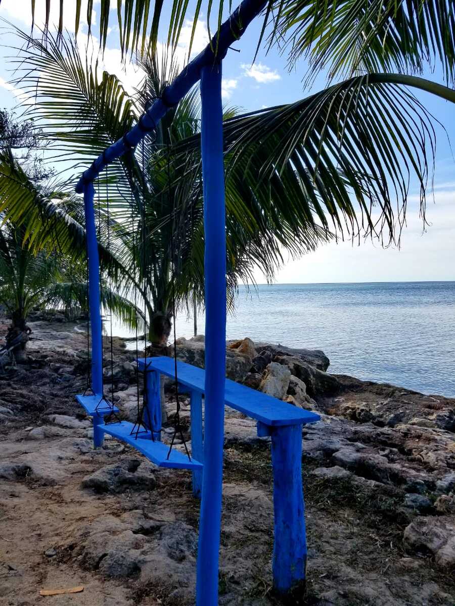 27 de 32