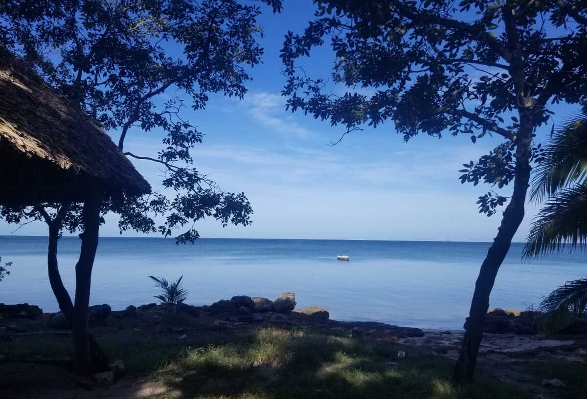 1 de 32